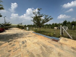 Plot Area in  Plot at Anekal – for Sale