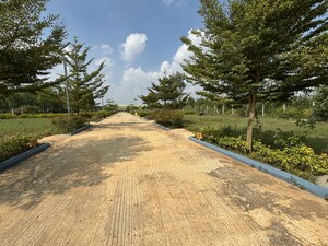 Plot Area in  Plot at Anekal – for Sale