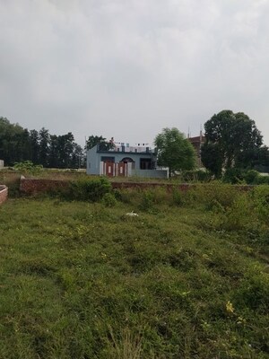  Plot For Sale in Selakui