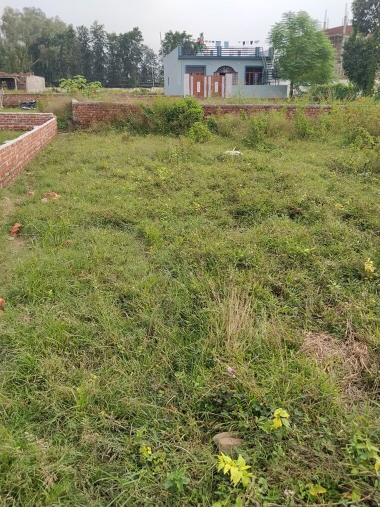undefined, selakui  123 Sq.Yd. Plot In Selakui Dehradun 10735783