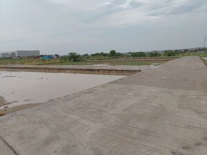  Plot For Sale in Sohna