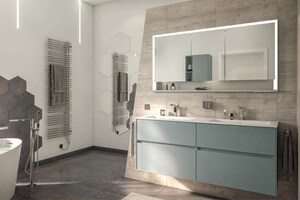 Bathroom in 4 BHK Apartment at Janakpuri – for Sale