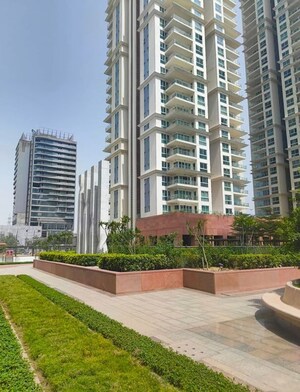 3 BHK Apartment For Rent in Conscient Hines Elevate, Sector 59