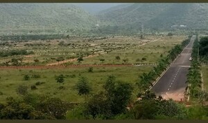 Plot Area in  Plot at Kothavalasa – for Sale