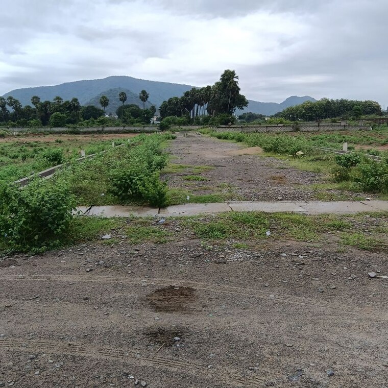 undefined, anakapalle  15000 Sq.Yd. Plot In Anakapalle Vizag 10736649