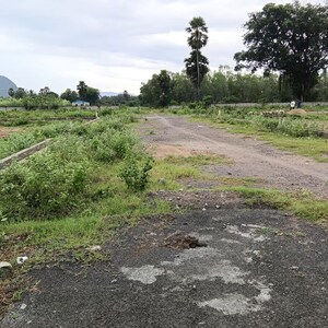 Plot Area in  Plot at Anakapalle – for Sale