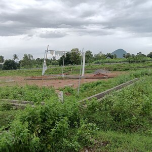 Plot Area in  Plot at Anakapalle – for Sale