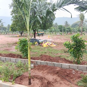  Plot For Sale in Dabbanda
