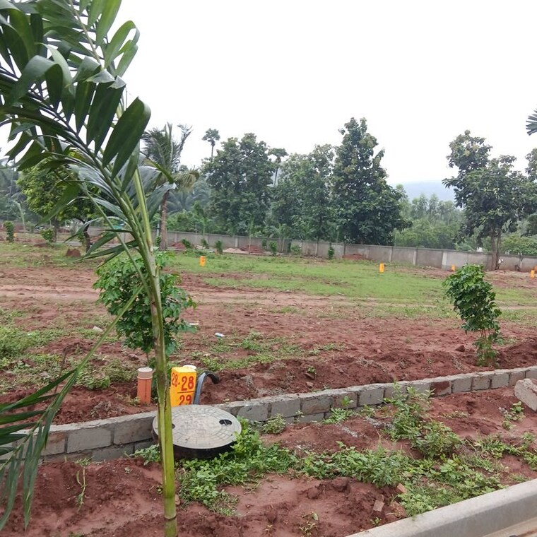 Garden, dabbanda  150 Sq.Yd. Plot In Dabbanda Vizag 10736707