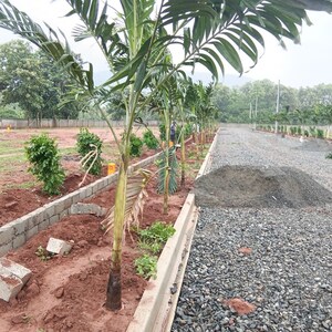 Plot Area in  Plot at Dabbanda – for Sale