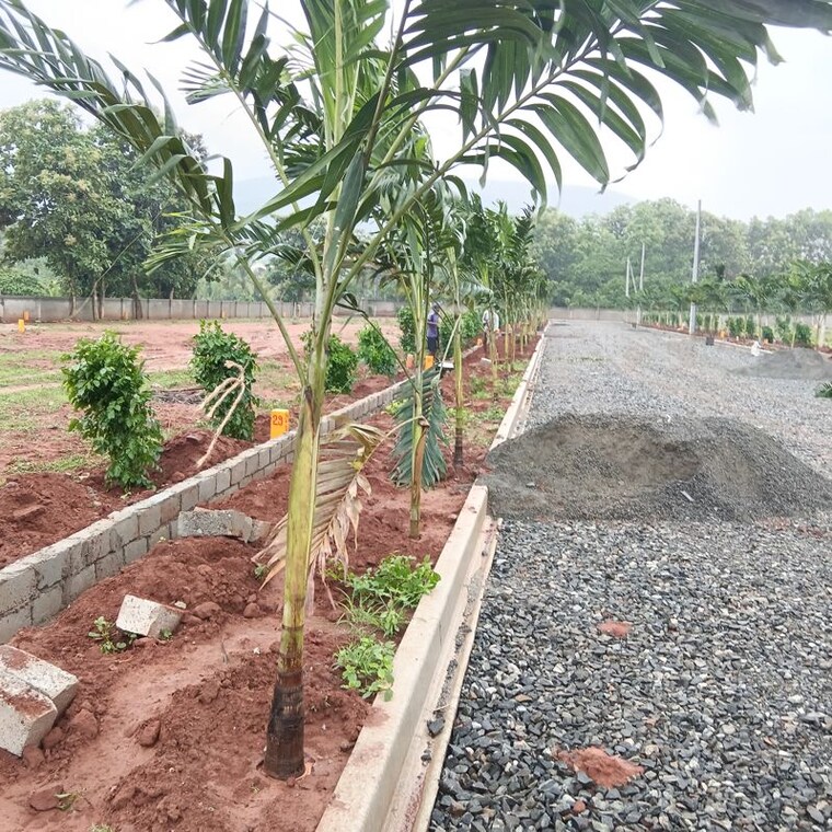 undefined, dabbanda  150 Sq.Yd. Plot In Dabbanda Vizag 10736707
