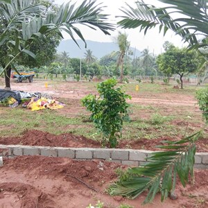Plot Area in  Land at Dabbanda – for Sale