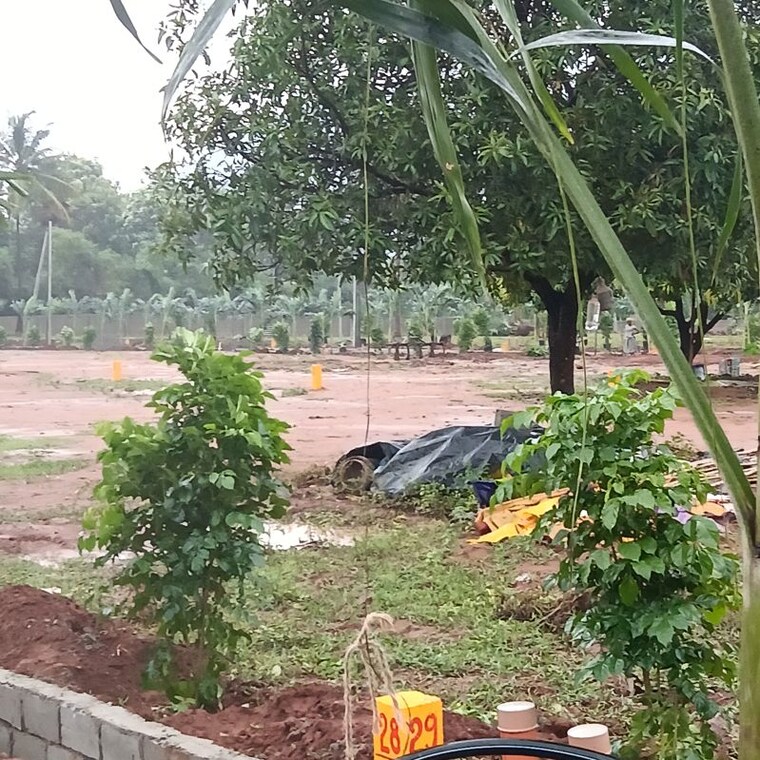Other, dabbanda Commercial Land 167 Sq.Yd. In Dabbanda Vizag 10736743