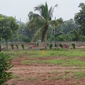 Plot Area in  Land at Dabbanda – for Sale