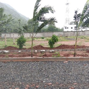Plot Area in  Land at Dabbanda – for Sale