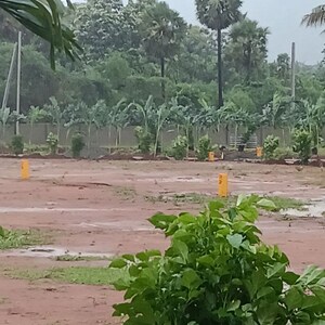  Land For Sale in Dabbanda