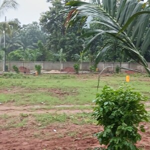  Land – Garden View at Dabbanda - for Sale