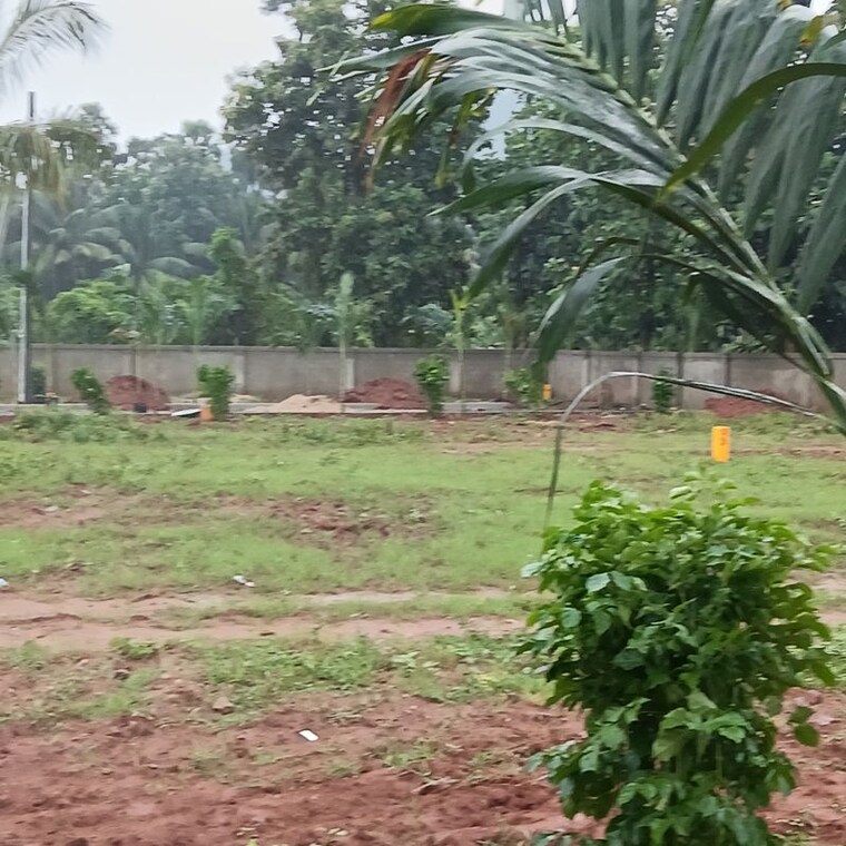 Garden, dabbanda Commercial Land 167 Sq.Yd. In Dabbanda Vizag 10736743