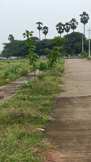 Plot Area in  Plot at Chittivalasa – for Sale