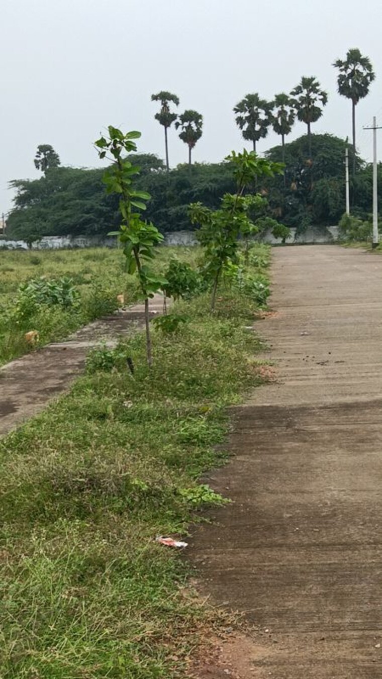 undefined, chittivalasa  200 Sq.Yd. Plot In Chittivalasa Vizag 10736778