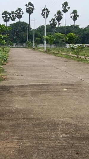 Plot Area in  Plot at Chittivalasa – for Sale