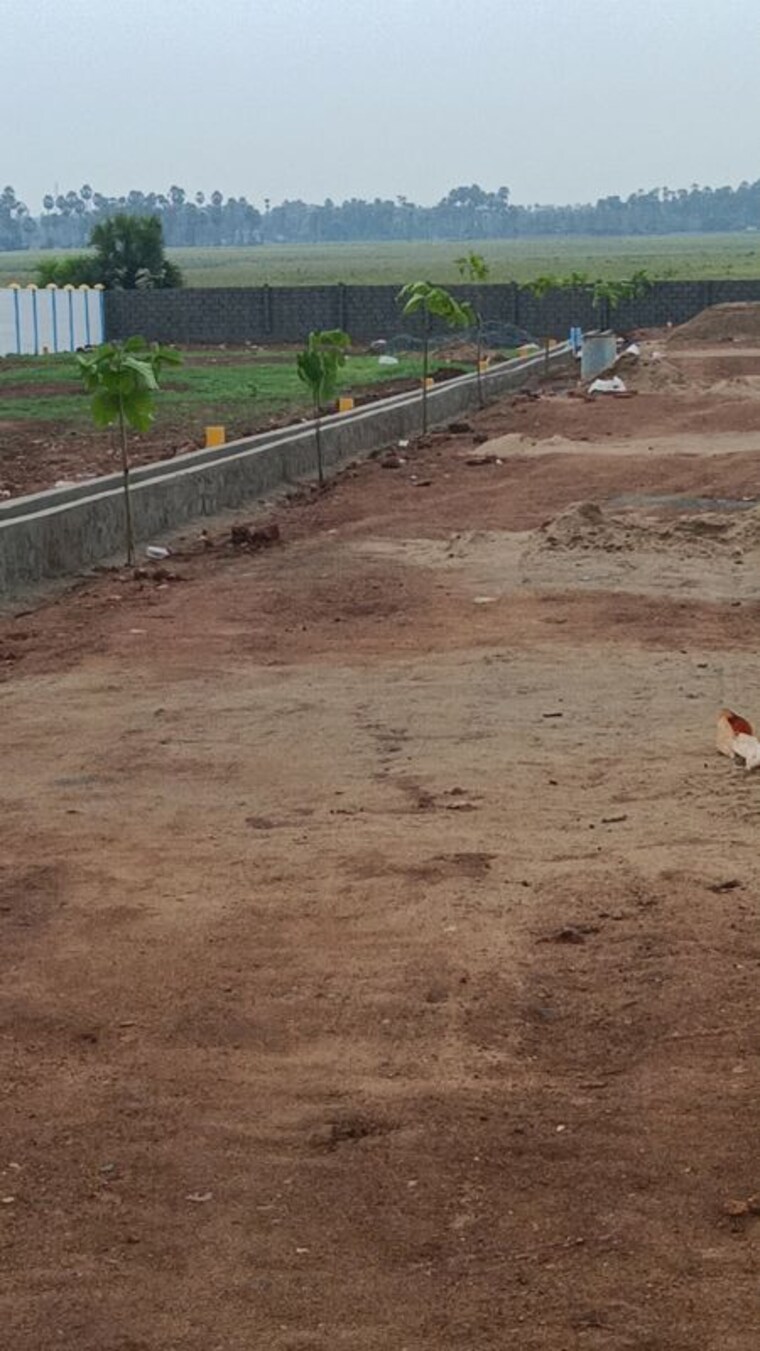 undefined, peddipalem  133 Sq.Yd. Plot In Peddipalem Vizag 10736813