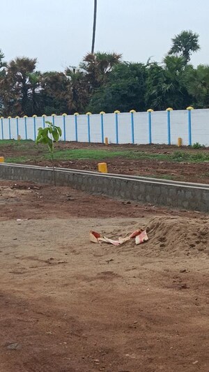 Plot Area in  Plot at Peddipalem – for Sale