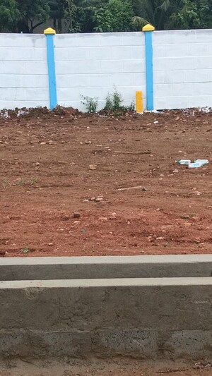 Plot Area in  Plot at Peddipalem – for Sale