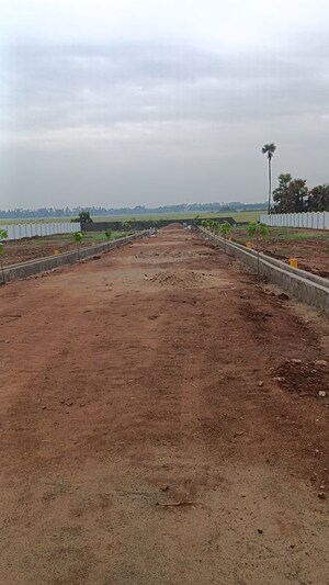Plot Area in  Plot at Peddipalem – for Sale