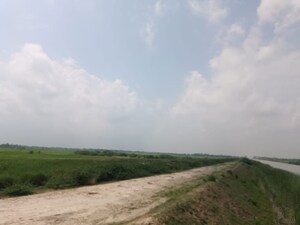 Plot Area in  Land at Dakhena Sekhpur – for Sale