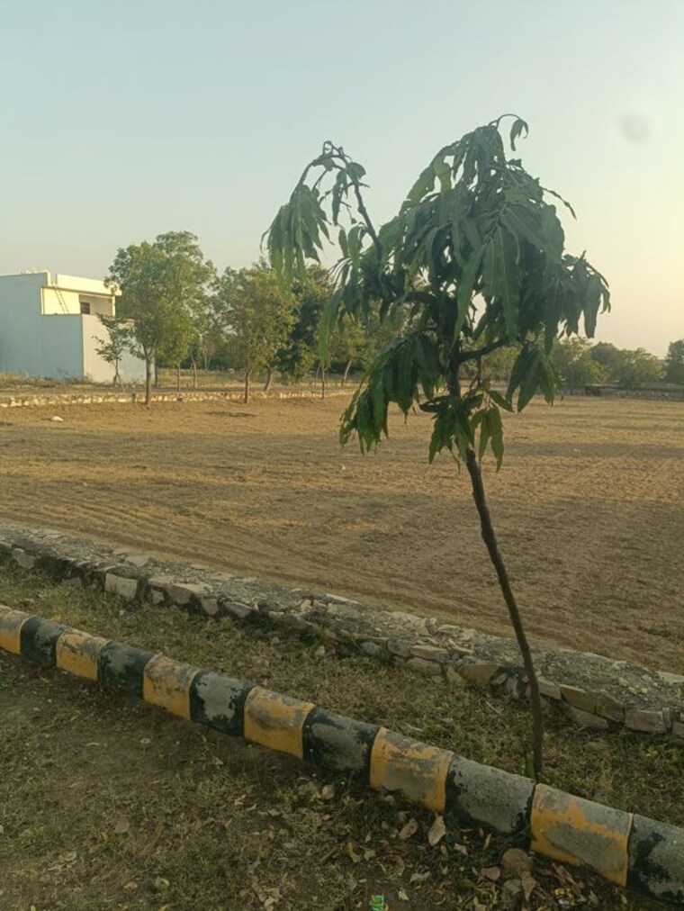 undefined, boraj  138 Sq.Yd. Plot In Boraj Jaipur 10736999