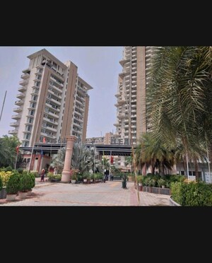 3 BHK Apartment – Exterior View View at SS The Leaf, Sector 85 - for Sale