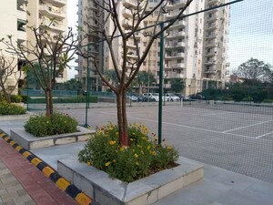 Balcony in 2 BHK Independent House at Sector 14 – for Rent