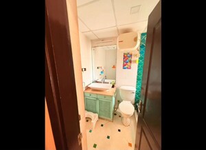 Attached Bathroom in 3 BHK Apartment at Bestech Park View City 2, Sector 49 – for Rent