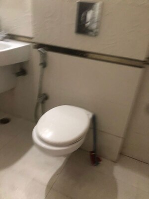 Bathroom in 2 BHK Independent House at Sector 14 – for Rent