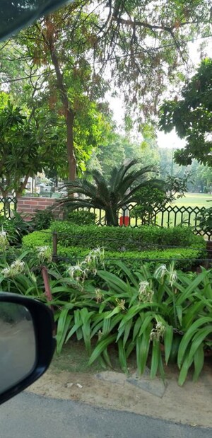 2 BHK Independent House – Garden View at Sector 14 - for Rent
