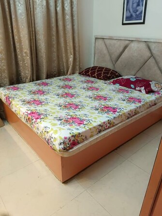 2 BHK Apartment For Rent in NRI Complex Phase I in Seawoods Sector 58, Navi Mumbai