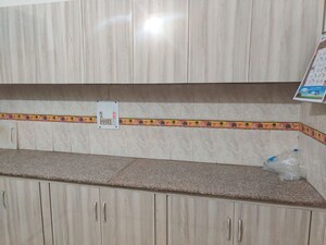 Swimming Pool in 2 BHK Independent House at Sector 14 – for Rent