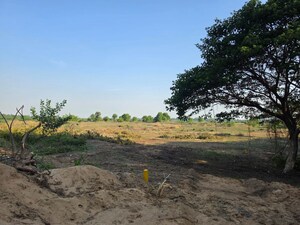  Plot For Sale in Chengalpattu