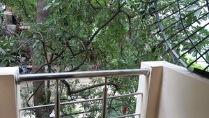 Balcony in 1 BHK Builder Floor at Royce Vaishali, Vaishali Sector 3 – for Rent