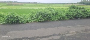  Plot For Sale in Gobindapur