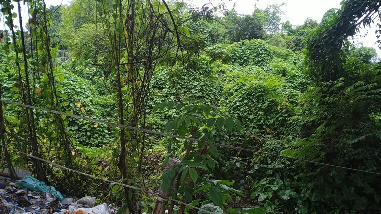 Garden, gobindapur  4 Acre Plot In Gobindapur Kolkata 10737475