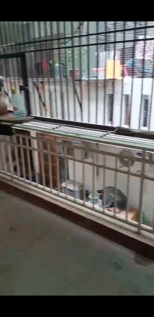 Balcony in 3 BHK Builder Floor at Amolik Residency, Sector 86 – for Rent