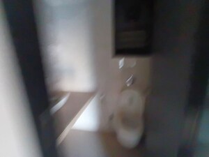 Bathroom in 2 BHK Apartment at Navpada – for Rent