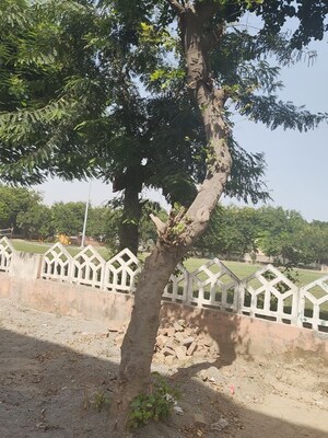 Plot Area in 2 BHK Independent House at Xu 1 Greater Noida – for Sale