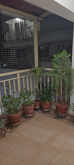 Balcony in 2 BHK Apartment at Siroya Sunshine, Rt Nagar – for Rent