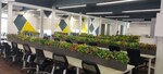 7000 Sq.Ft. Office Space in Sector 63