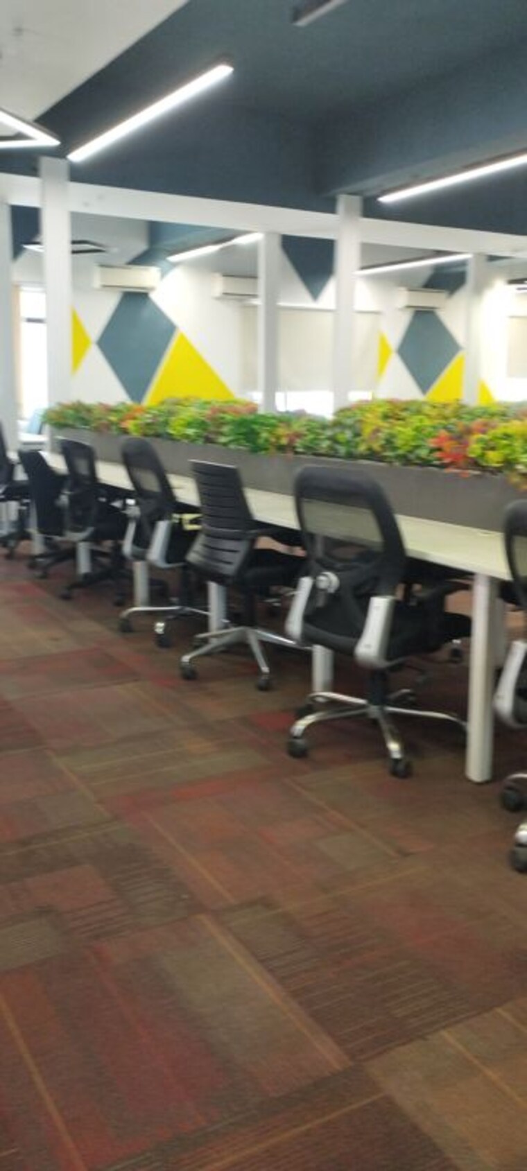 Team Area, sector 63 Commercial Office Space 7000 Sq.Ft. In Sector 63 Noida 10738607