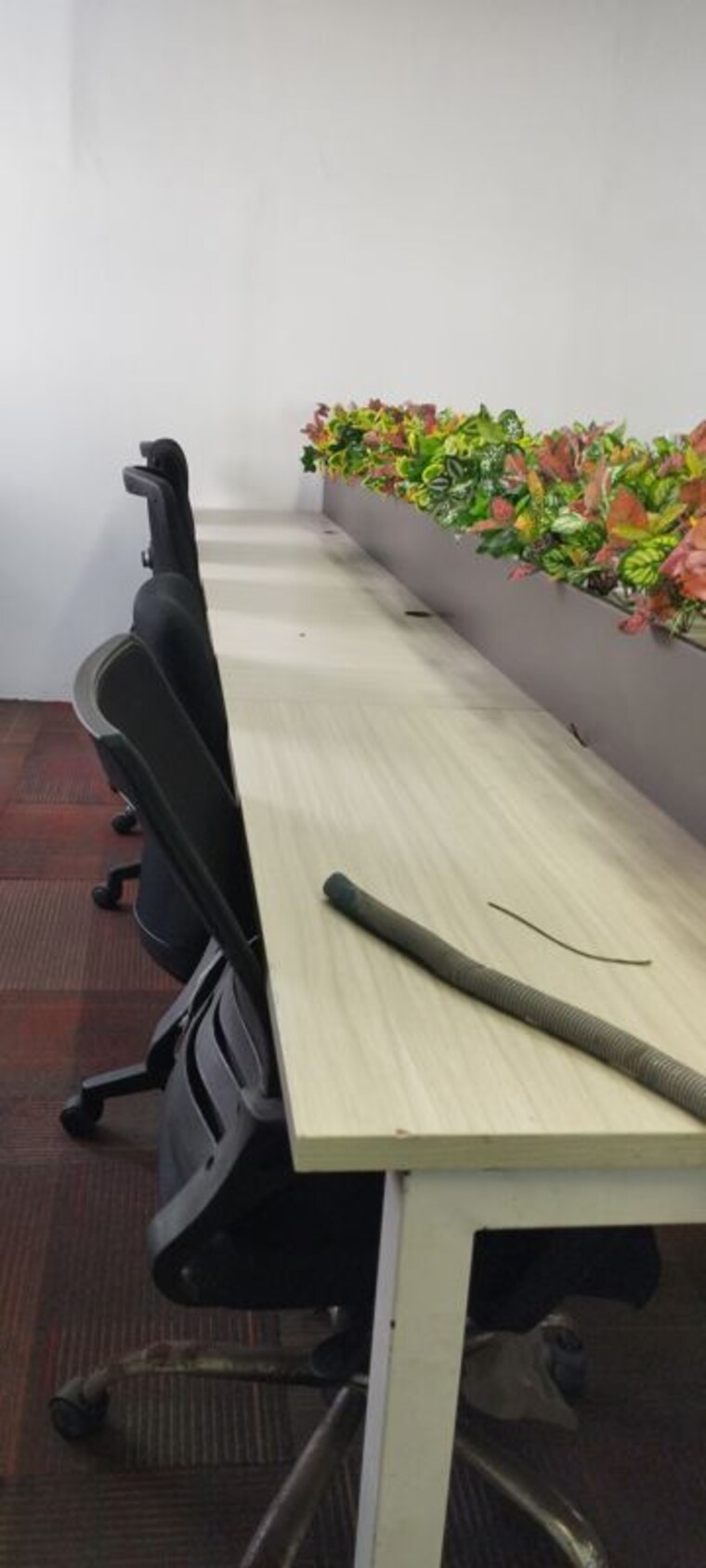 Team Area, sector 63 Commercial Office Space 7000 Sq.Ft. In Sector 63 Noida 10738607