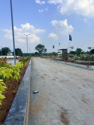 Plot Area in  Plot at Shadnagar – for Sale